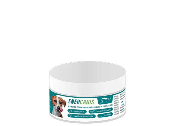 ENERCANIS