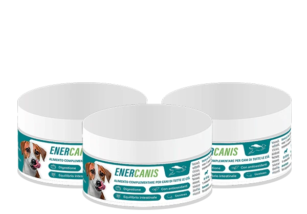 ENERCANIS
