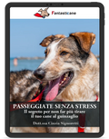 Passeggiate Senza Stress