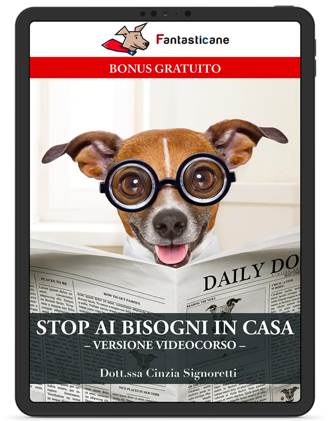 Edizione video di STOP AI BISOGNI IN CASA