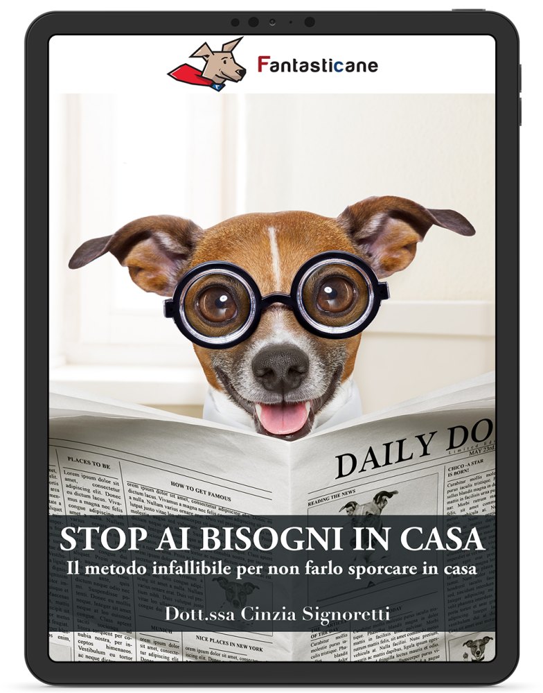 Stop ai bisogni in casa