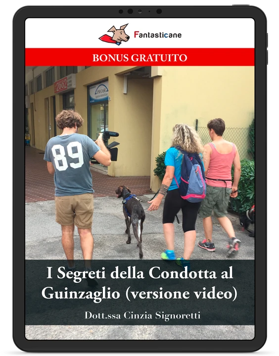 La versione video del programma
