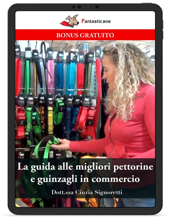 GUIDA ALLE MIGLIORI PETTORINE E GUINZAGLI AD OGGI IN COMMERCIO