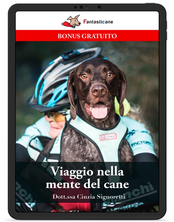 VIAGGIO NELLA MENTE DEL CANE
