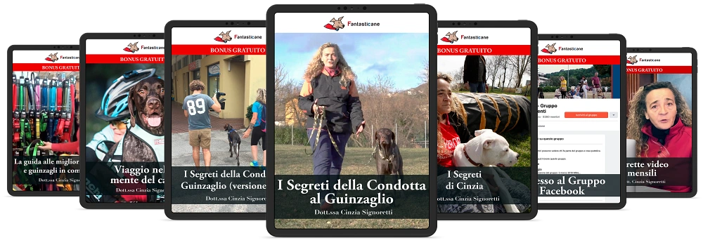 Il pacchetto completo con tutti i bonus inclusi