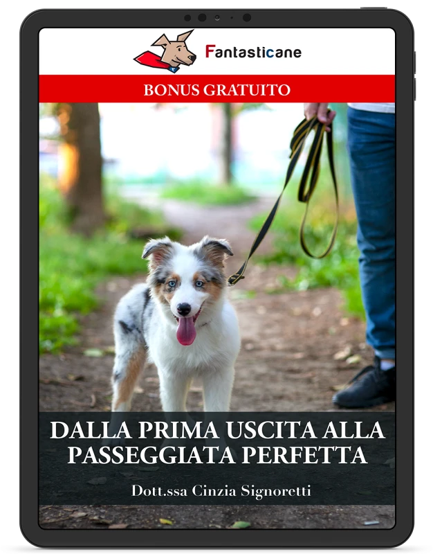“DALLA PRIMA USCITA ALLA PASSEGGIATA PERFETTA”