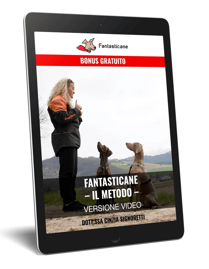 VERSIONE VIDEO DEL PROGRAMMA