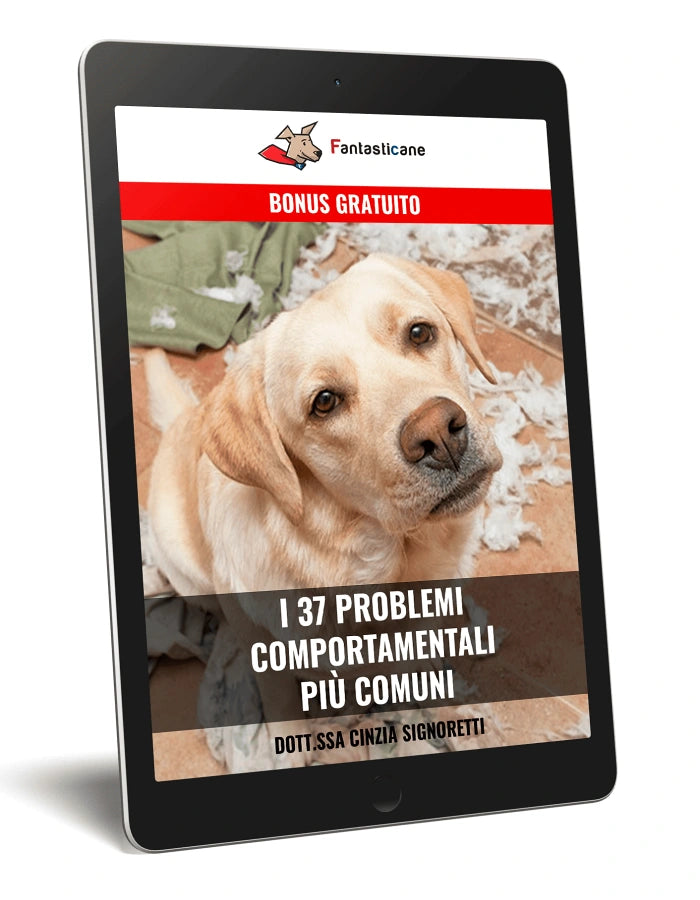 I 37 PROBLEMI COMPORTAMENTALI PIÙ COMUNI