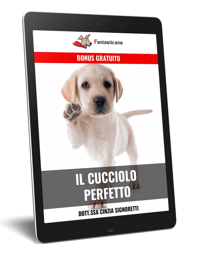 IL CUCCIOLO PERFETTO