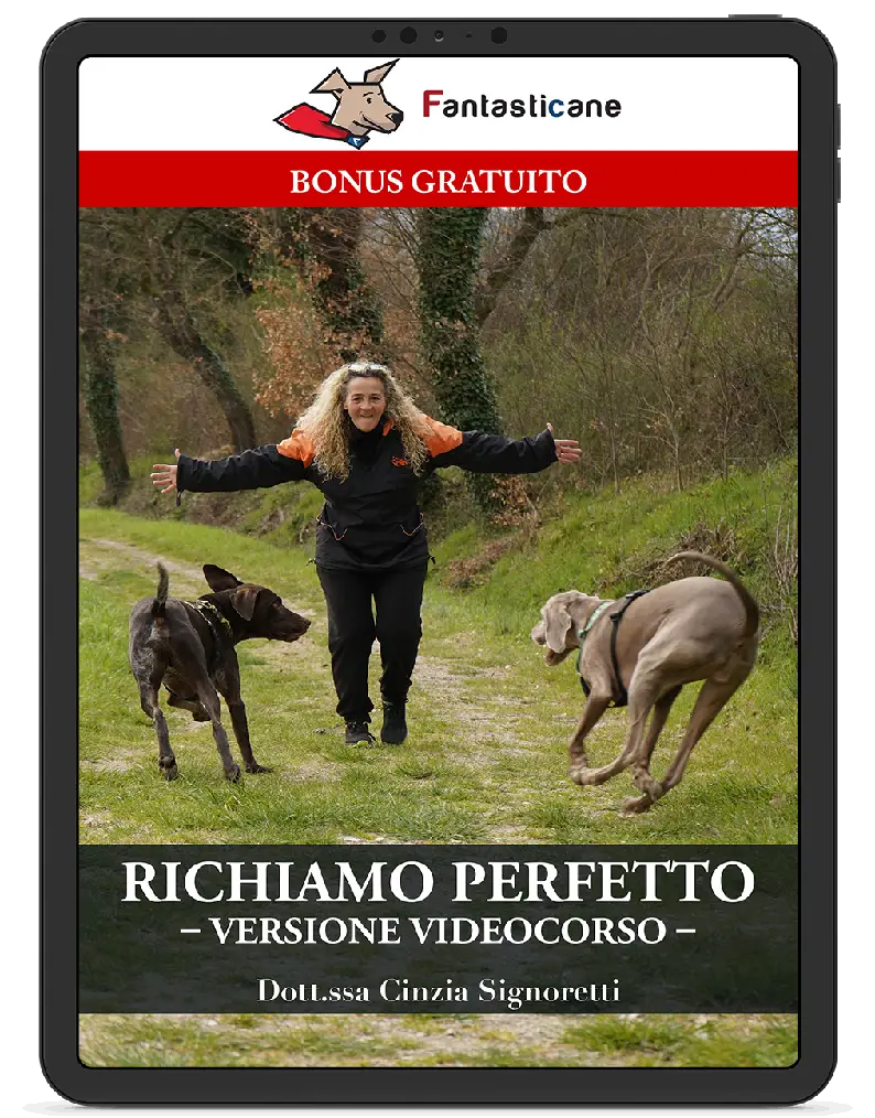 Edizione video di IL RICHIAMO PERFETTO