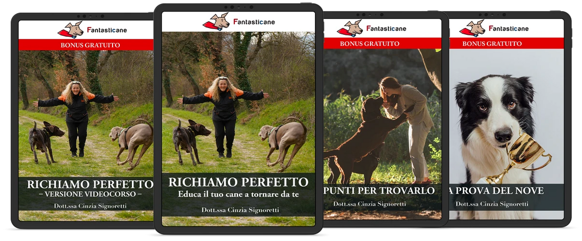 Il pacchetto completo con tutti i bonus inclusi