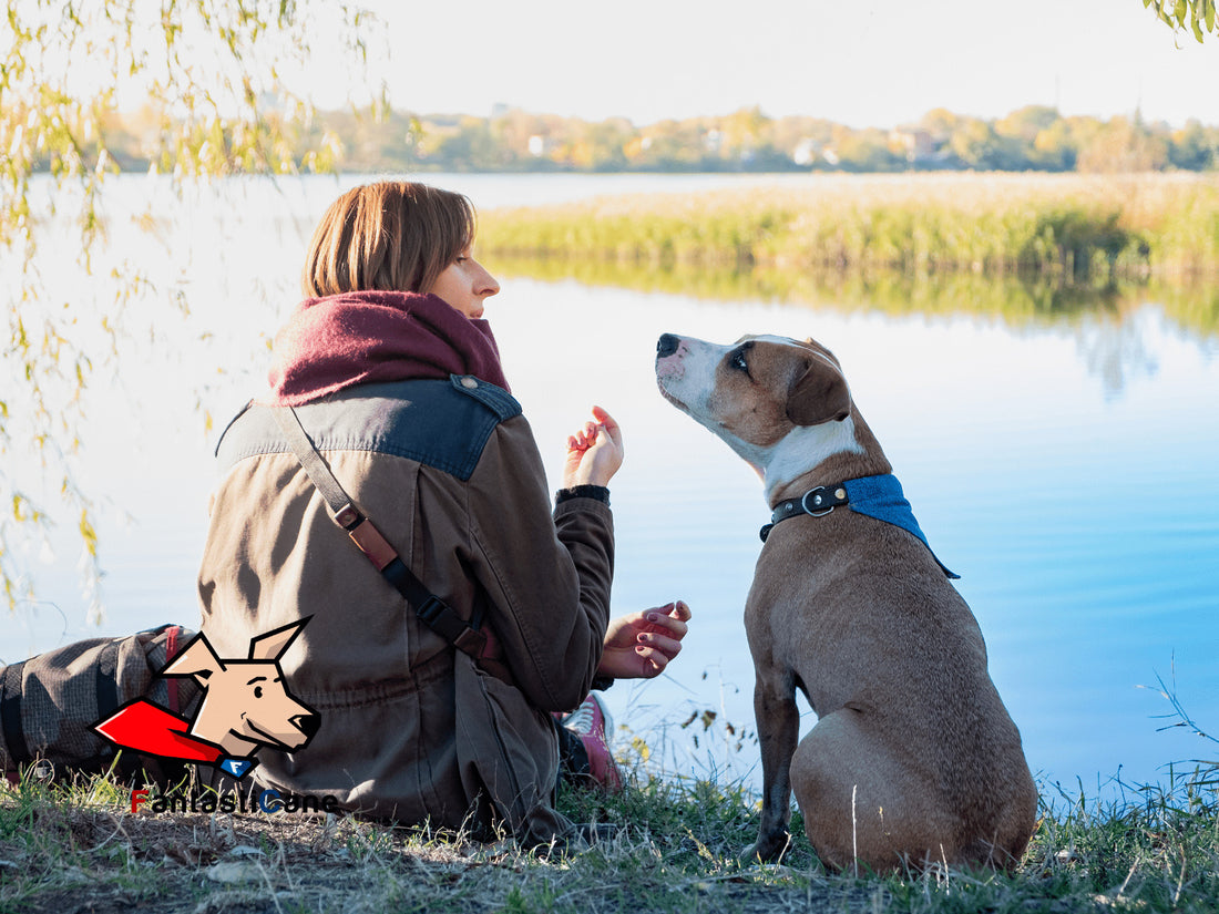 Sai cosa ti dice il tuo cane? Come capire il suo linguaggio e parlare la sua lingua