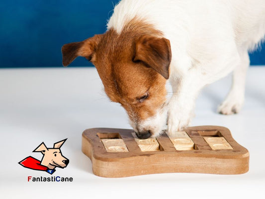 Perché il cane ha bisogno di usare la mente? Guida pratica per rendere il tuo amico calmo e felice.