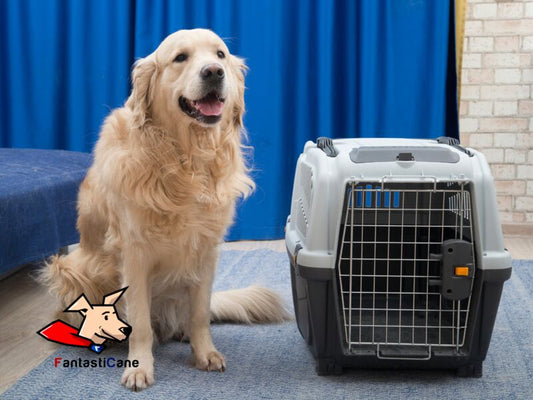 Come far abituare il cane al trasportino e perché usarlo.