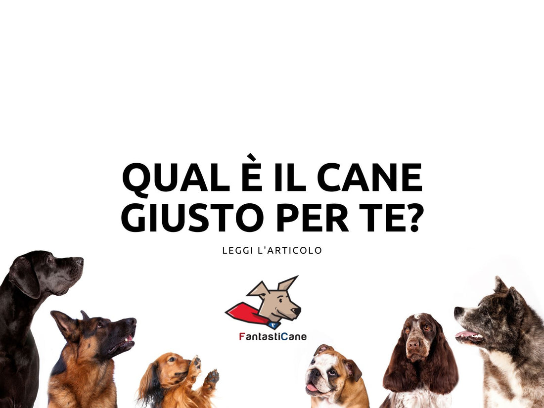 Qual è il cane giusto per te?
