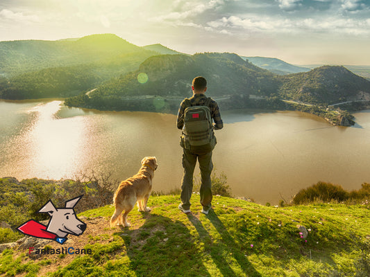 In montagna con il cane – Tutto quello che devi sapere per una passeggiata perfetta e sicura