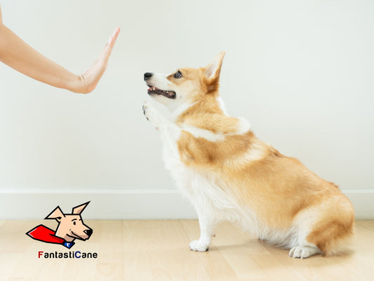 Come educare il tuo cane? Il metodo
