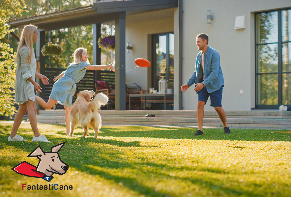 Cane e Giardino: binomio felice o pericoloso?
