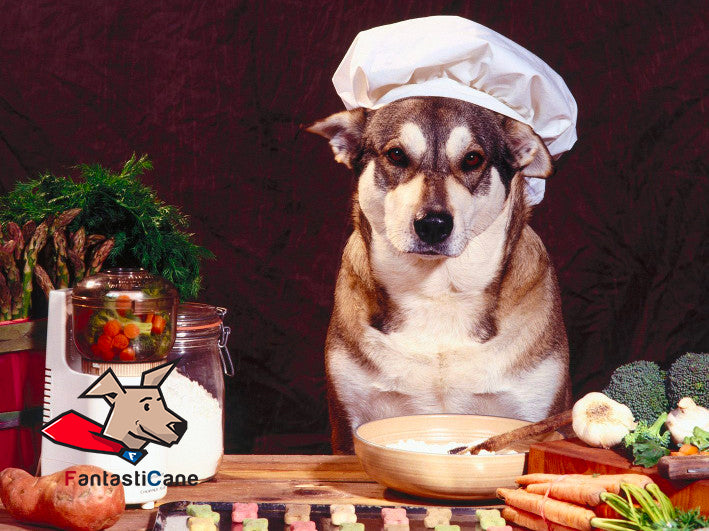 Cibo per cani homemade: 9 consigli utili per nutrire il tuo cane in autonomia