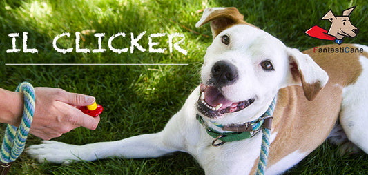 Il Clicker: cos’è e come utilizzarlo per educare il tuo cane