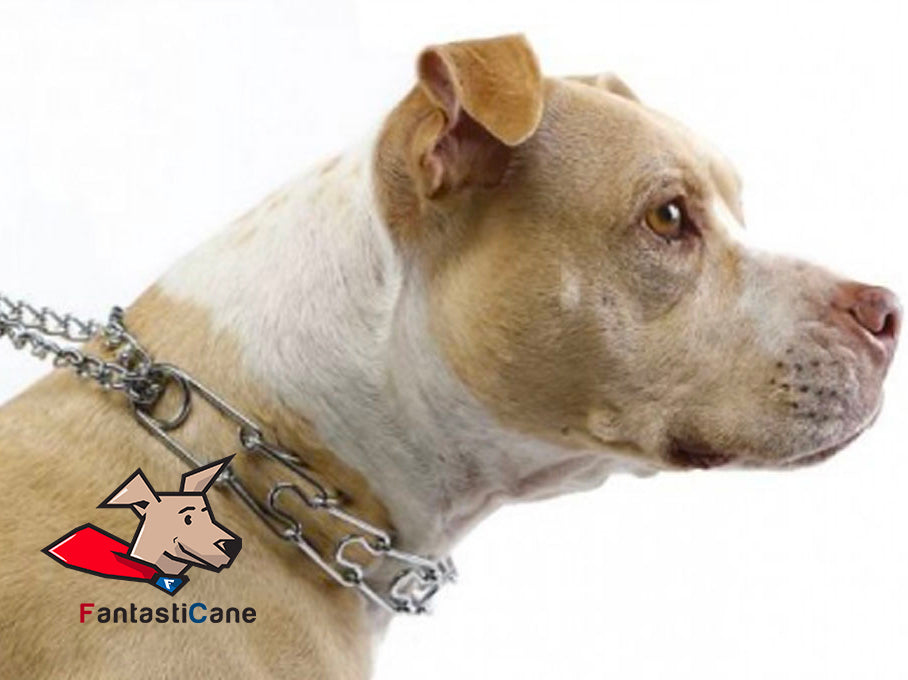 Collare a strozzo: è pericoloso per il cane?