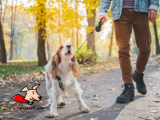 Come insegnare al cane a non abbaiare alle persone?