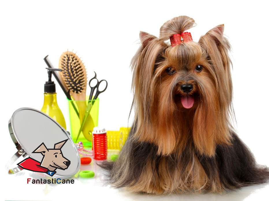 Come toelettare il cane