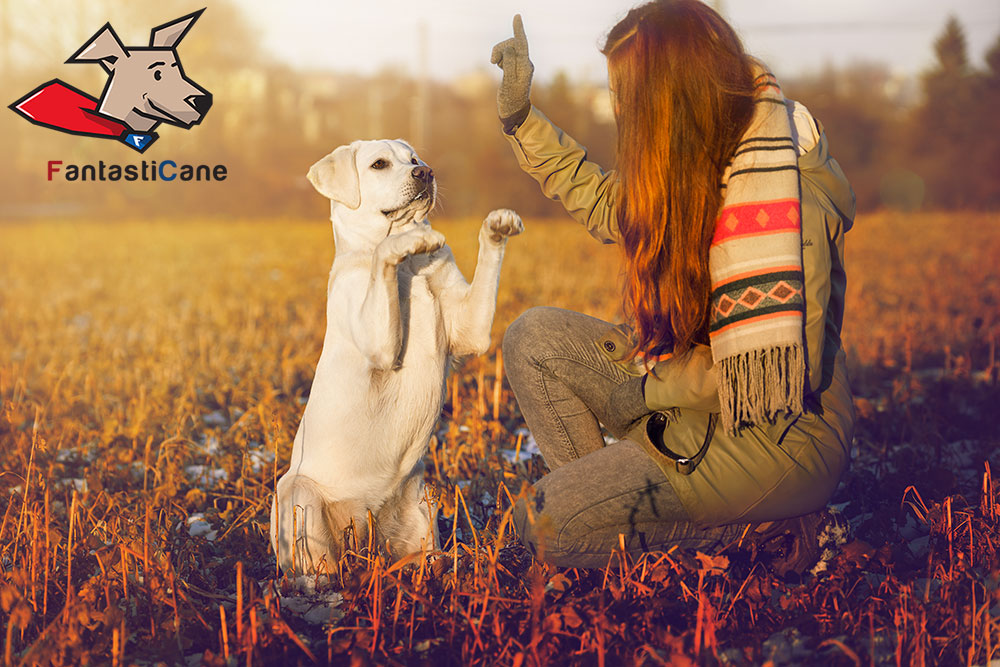 La differenza tra Educare e Addestrare un cane – facciamo chiarezza