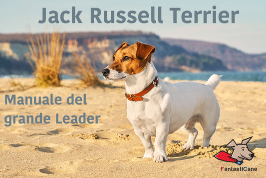 Jack Russell Terrier – Manuale del grande leader