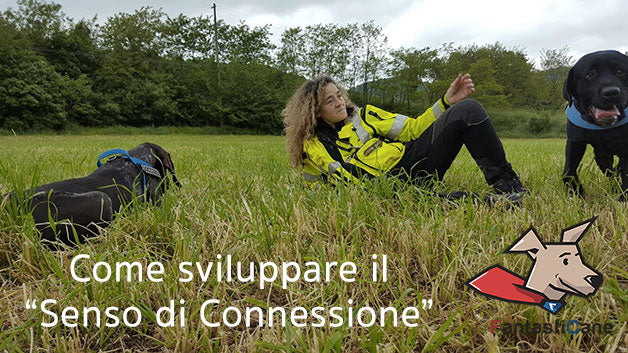 Come puoi creare una perfetta sintonia con il tuo cane per poterti fidare che non scappi nonostante le 1000 distrazioni che ha intorno