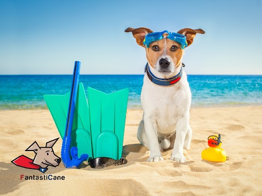 Il primo approccio all’acqua: guida su come far avvicinare il tuo cane all’acqua in modo facile e divertente