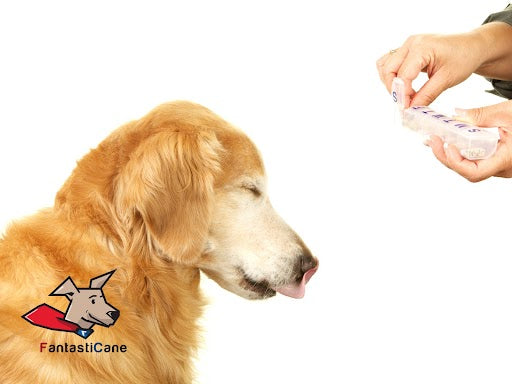 Medicine al cane:  come dargliele senza problemi