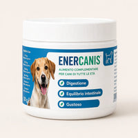 ENERCANIS - 2