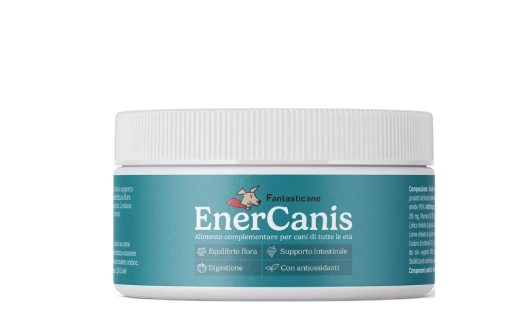 Enercanis 2.0