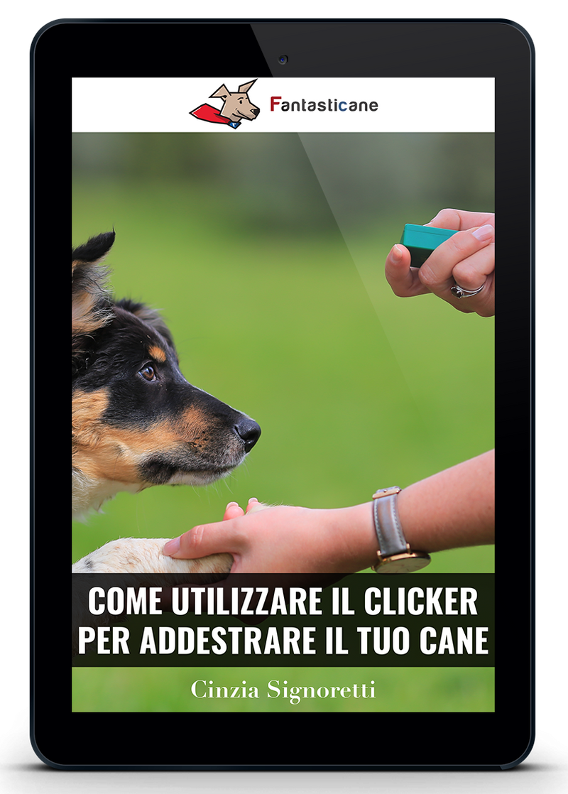COME UTILIZZARE IL CLICKER PER ADDESTRARE IL TUO CANE
