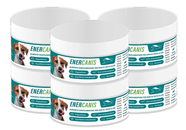 ENERCANIS - 8