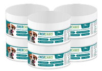 ENERCANIS - 8