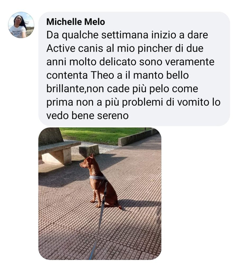 Recensione cliente