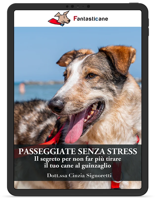 Passeggiate Senza Stress - 1