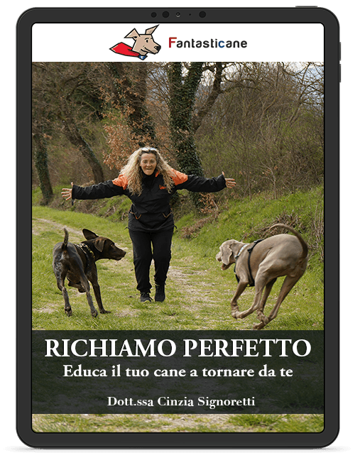 Il Richiamo Perfetto - Educa il tuo cane a tornare da te - 1