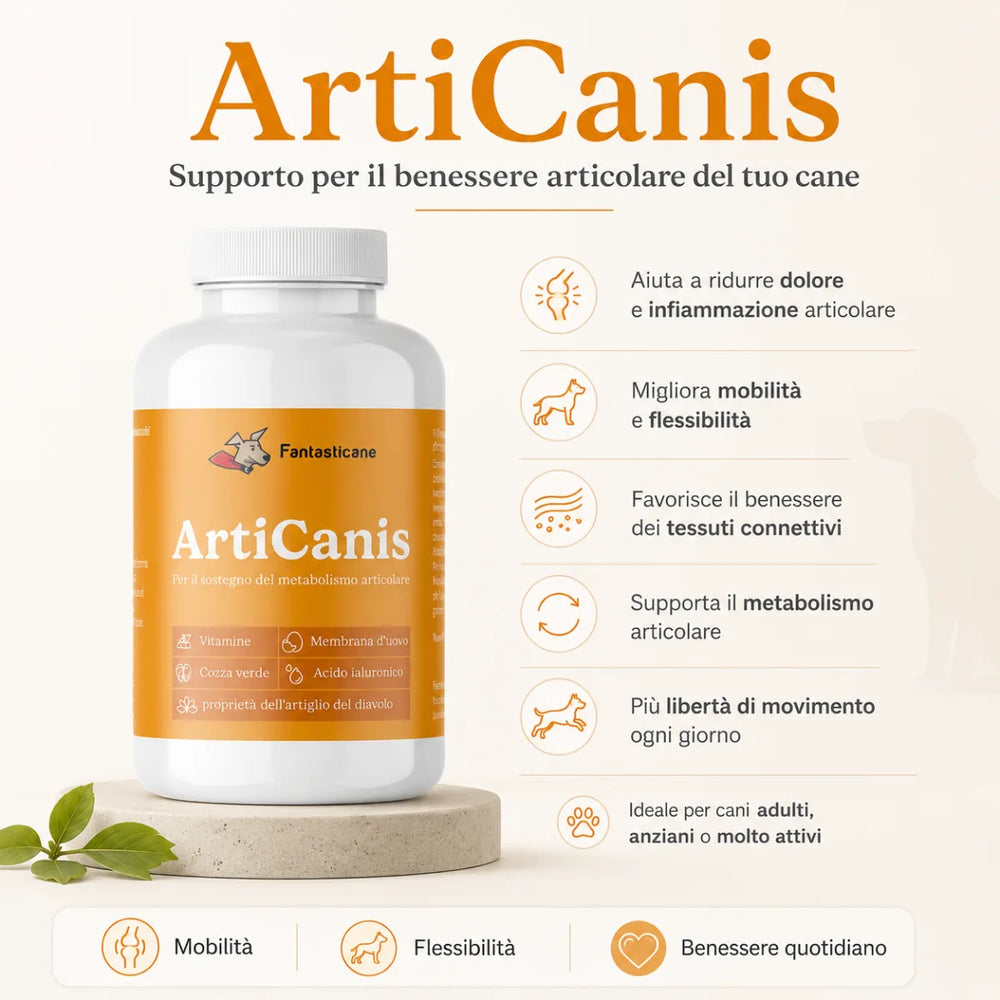 Articanis - 2