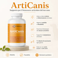 Articanis - 2