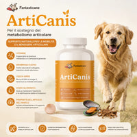 Articanis - 3