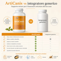 Articanis - 4