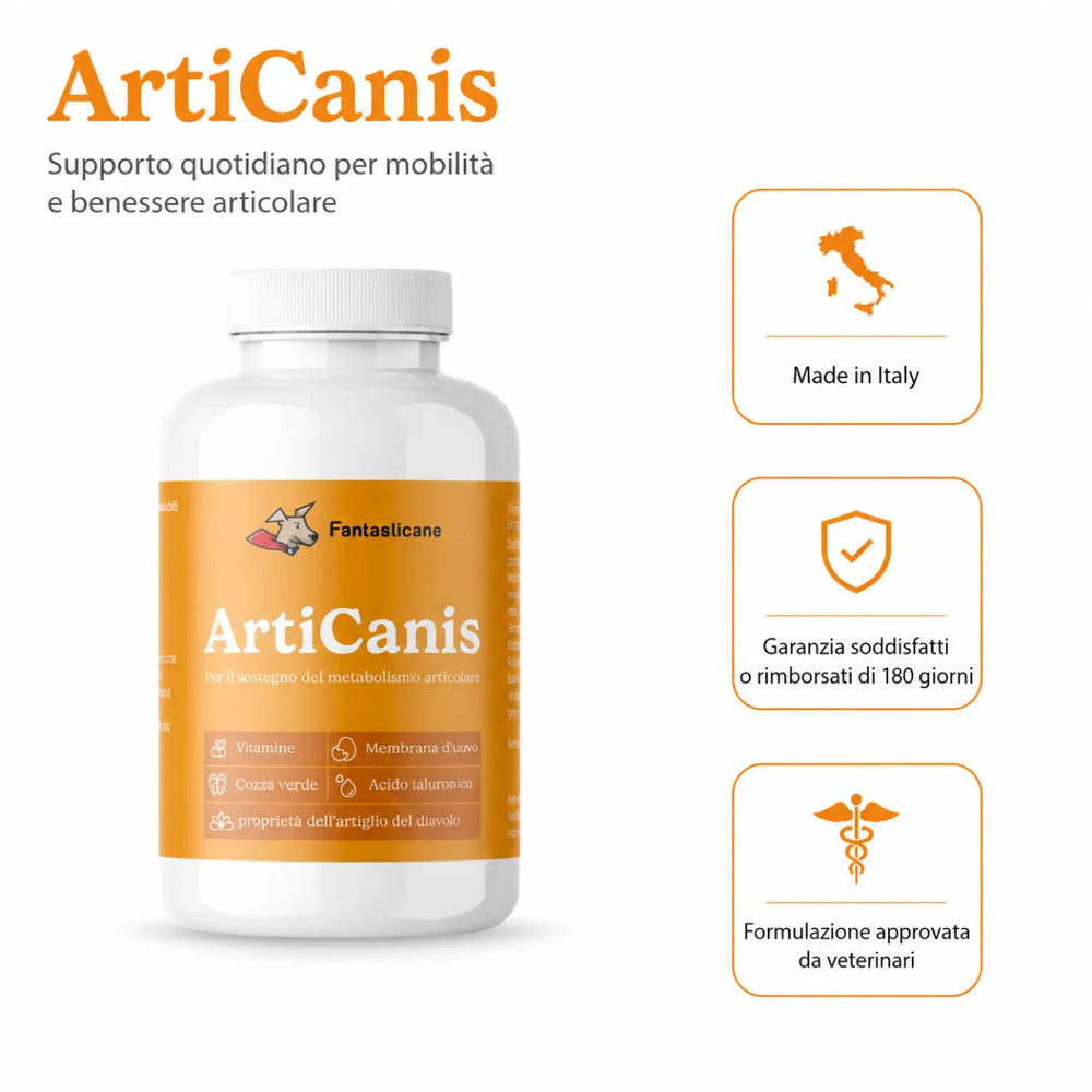 Articanis - 6