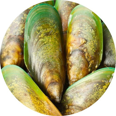 Cozze dalle labbra verdi
