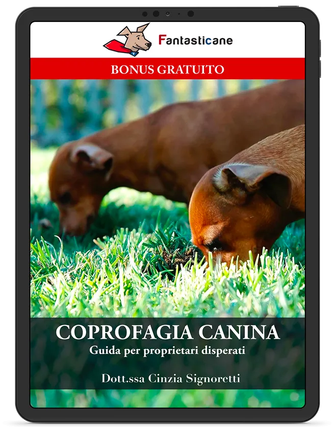 Coprofagia canina
