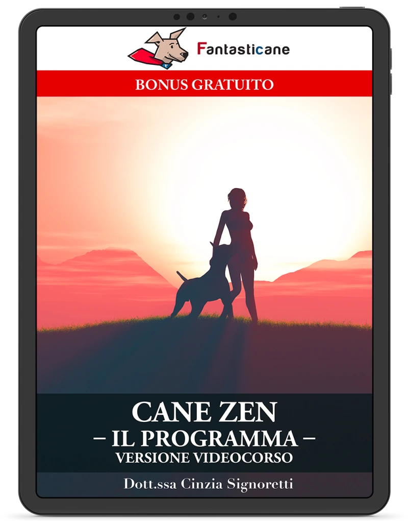 IL PROGRAMMA IN VERSIONE VIDEOCORSO.