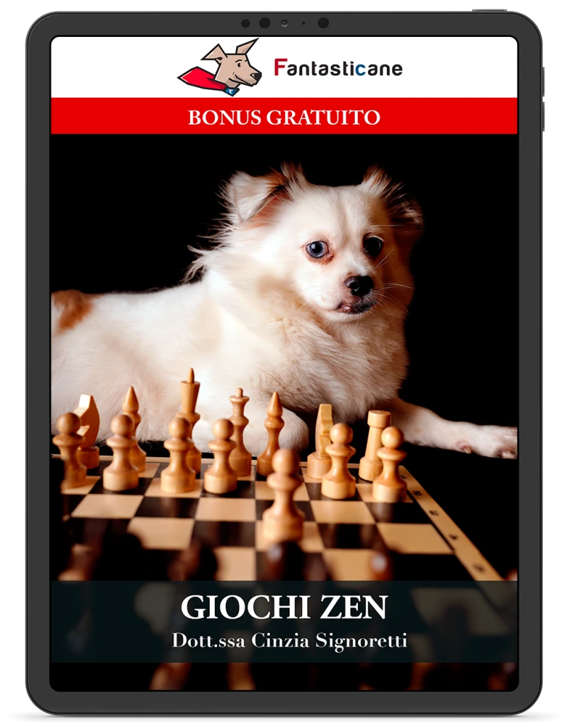GIOCHI ZEN
