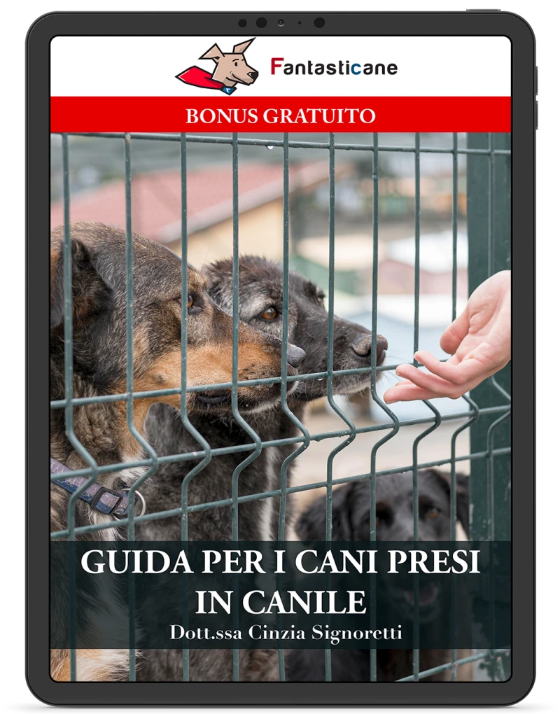 GUIDA PER I CANI PRESI IN CANILE